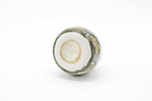 風呂に入る動物のフラワーベース